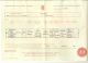 Annie Elmer birth certificate (1894)