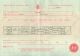 Ellen Hickey birth certificate (1862)